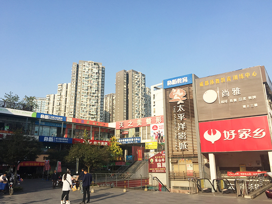 成都朴新教育川师校区 成都朴新教育川师校区