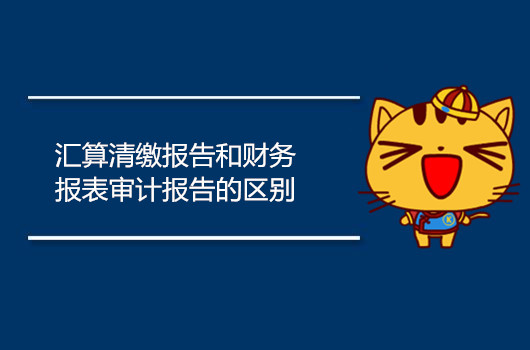 年度汇算清缴汇报和财务报告财务审计报告的差别都有哪些？