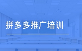 深圳龙岗拼多多开店培训班