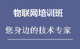 上海松江区物联网ARM培训班