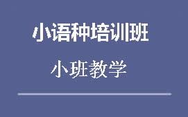 惠州惠城区西语培训班