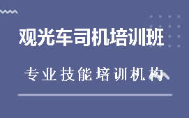 深圳福田区观光车司机培训班