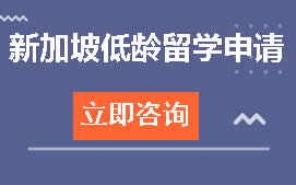 杭州临安区新加坡低龄留学申请培训班