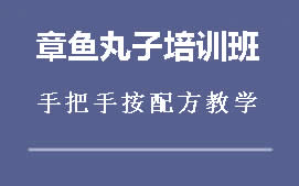 厦门翔安区章鱼小丸子培训班