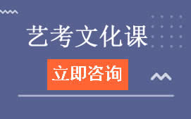 昆明东川区艺考文化课辅导班