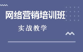 重庆南岸区网络营销培训班