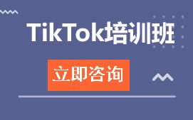 广州天河区TikTok培训班