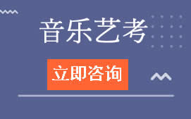 深圳罗湖区音乐艺考培训班