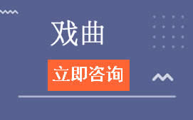 深圳宝安区京剧戏曲培训机构