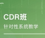 深圳坪山区CDR培训班