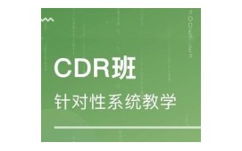 深圳坪山区CDR培训班