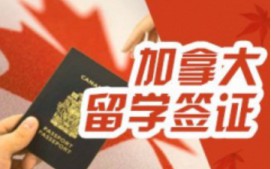 哈尔滨南岗区加拿大留学签证申请
