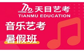 杭州音乐艺考暑假班