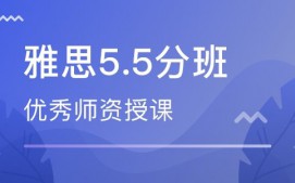 武汉江岸区雅思5-5.5分培训班