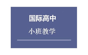 长沙芙蓉区国际高中辅导班哪家机构专业