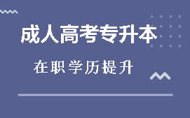 东莞桥头镇成人高考专升本辅导班