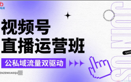 深圳福田区视频号直播运营培训班