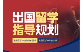 深圳罗湖区出国留学指导规划