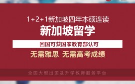 深圳南山区新加坡留学申请中介多少钱