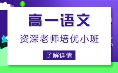 上海徐汇区高一语文辅导班