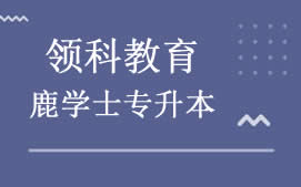 广州越秀区领科教育鹿学士专升本培训班