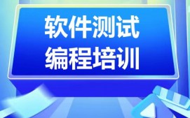 天津滨海新区软件测试编程培训班