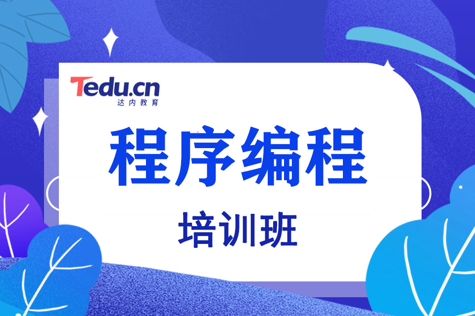 天津滨海新区程序员培训班