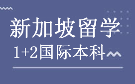 广州天河区新加坡留学本科申请