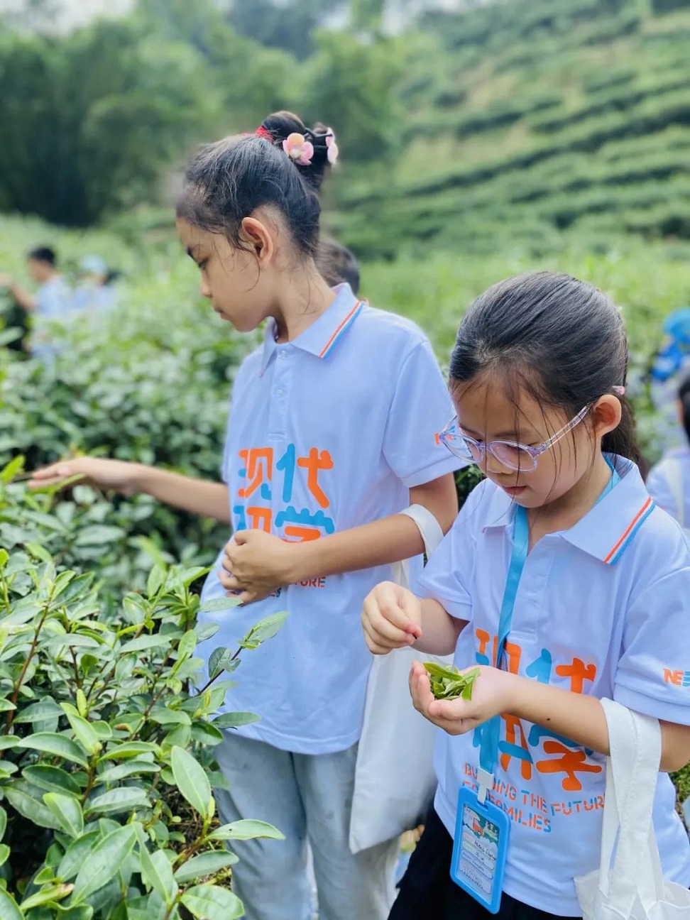 研学之学是主动探究积极建构的过程