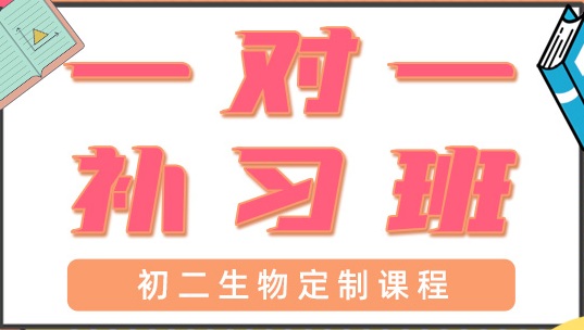 深圳宝安区初二生物辅导班