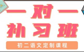 深圳宝安区初二语文辅导班