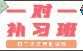 深圳宝安区初三语文辅导班