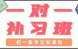 深圳宝安区初一数学辅导班