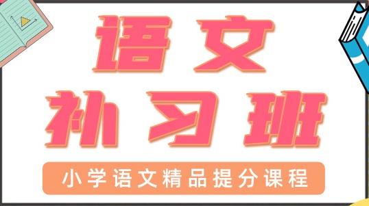 海口龙华区小学语文辅导班