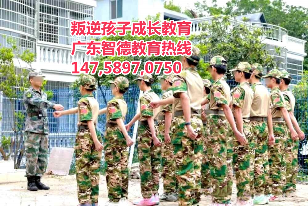 清遠叛逆網瘾逃學早戀青少年孩子教育學校,廣東智德教育招生热线14758970750