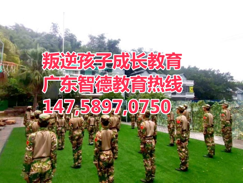 清遠叛逆網瘾逃學早戀青少年孩子教育學校,廣東智德教育招生热线14758970750