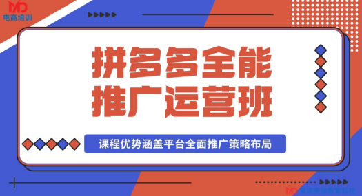 武汉汉阳区拼多多运营培训班