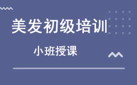 湛江霞山区美发初级培训班