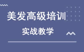 湛江霞山区美发高级培训班