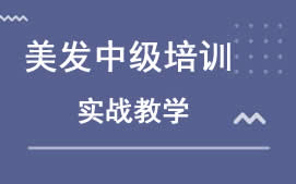 湛江霞山区美发中级培训班