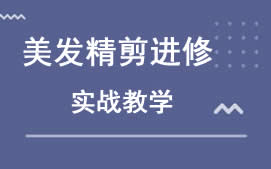 湛江霞山区美发精剪进修培训班