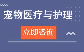 广东岭南现代学院宠物医疗与护理