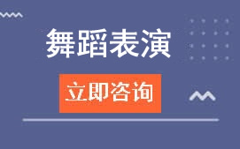广东岭南现代学院舞蹈表演