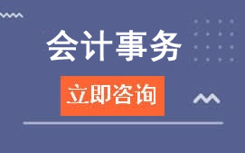 广东岭南现代学院会计
