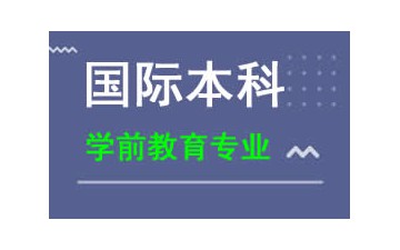 廣州新華學院國際本科學前教育專業多少錢