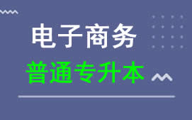 东莞城市学院普通专升本电子商务专业招生