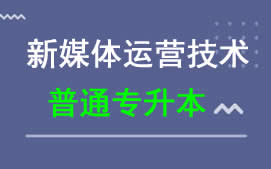 东莞城市学院普通专升本新媒体运营技术专业招生