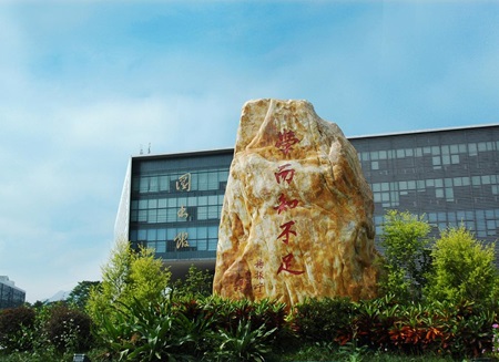 人力资源管理师怎么学习