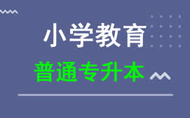 东莞理工学院普通专升本小学教育专业招生