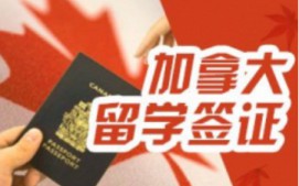 石家庄新华区加拿大留学申请